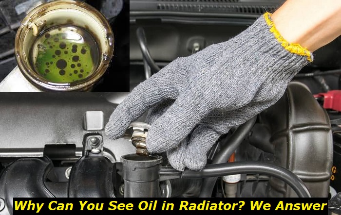 why is there oil in radiator